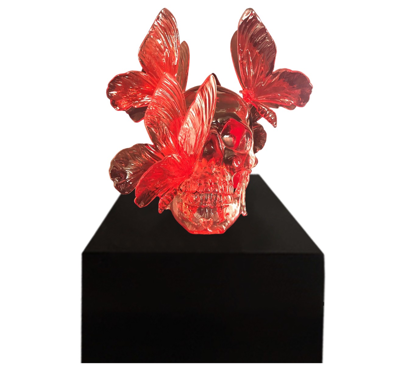 CRÂNE AUX PAPILLONS - PHILIPPE PASQUA - Galeries Bartoux