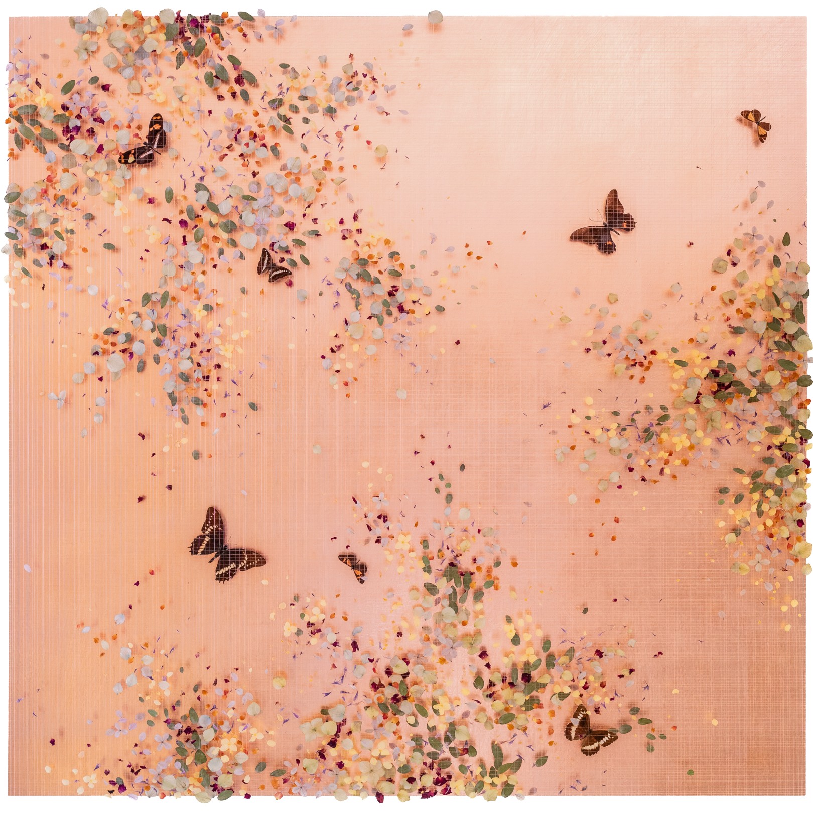 A DREAM GLIMPSED - ANNA MASTERS - Galeries Bartoux
