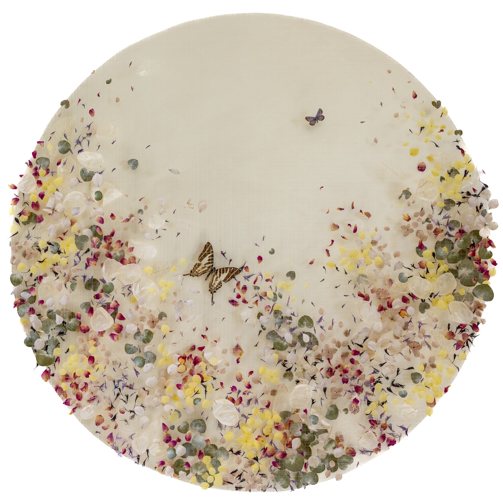 AURA - ANNA MASTERS - Galeries Bartoux