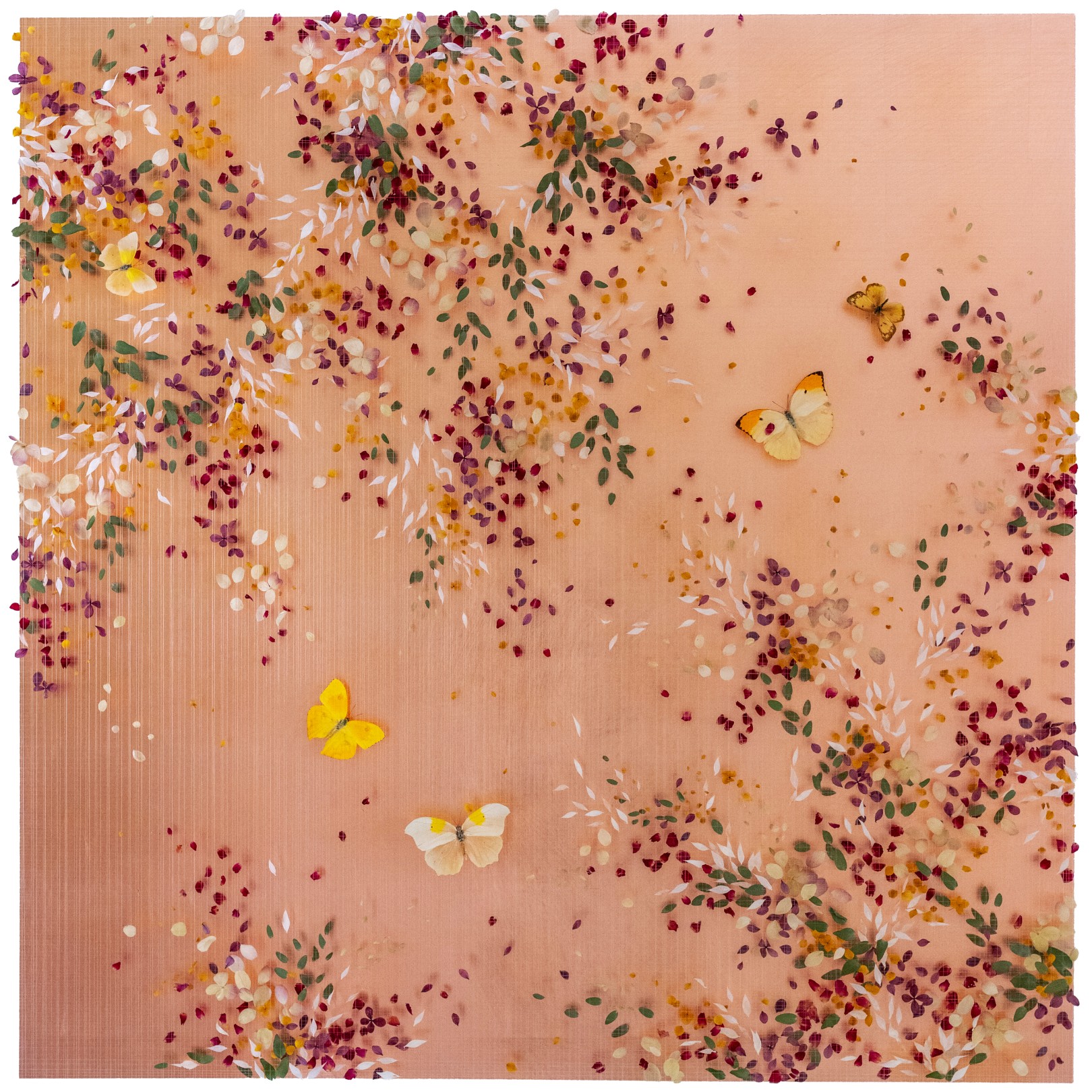 I DREAMED IN SUNSHINE - ANNA MASTERS - Galeries Bartoux