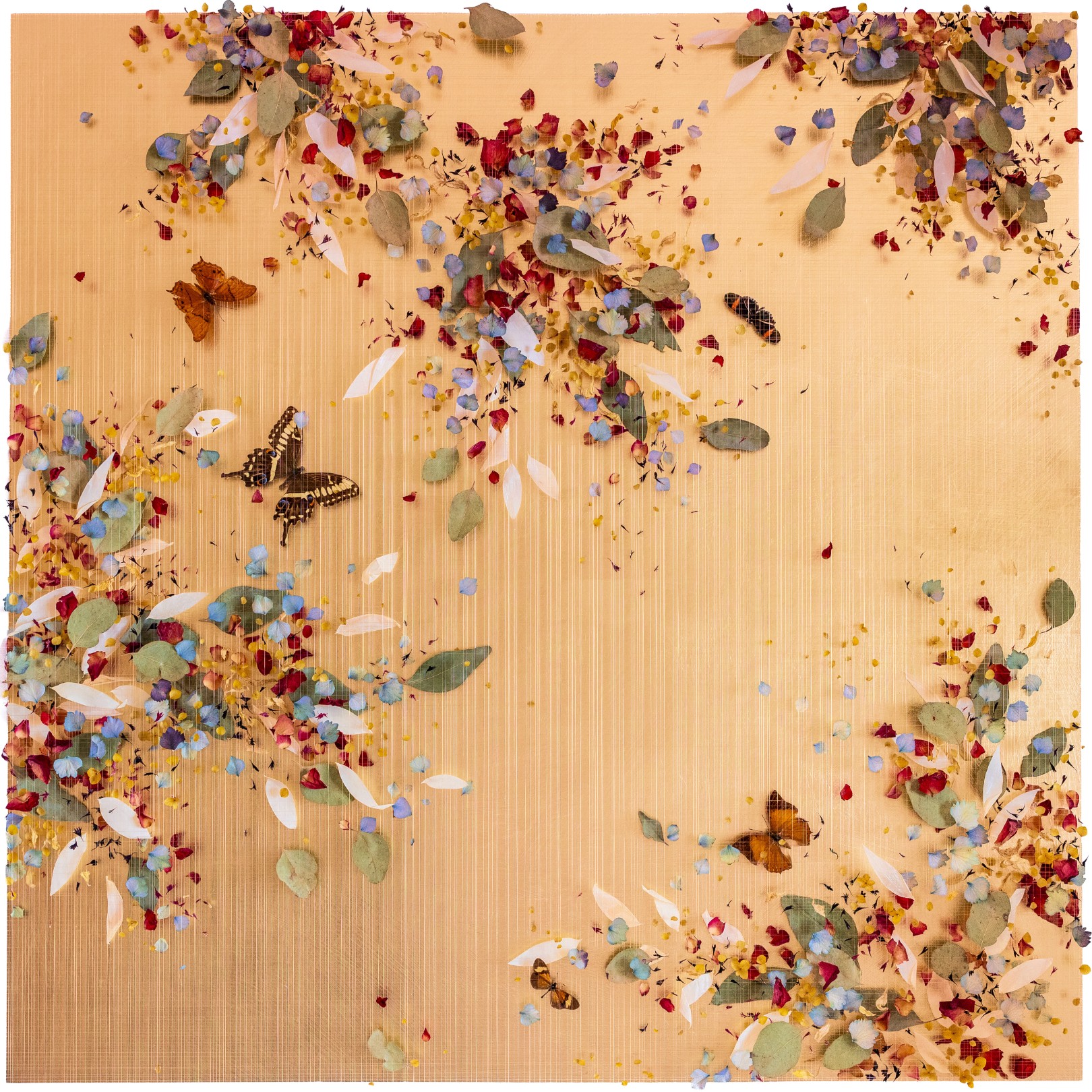 LOINNIR - ANNA MASTERS - Galeries Bartoux