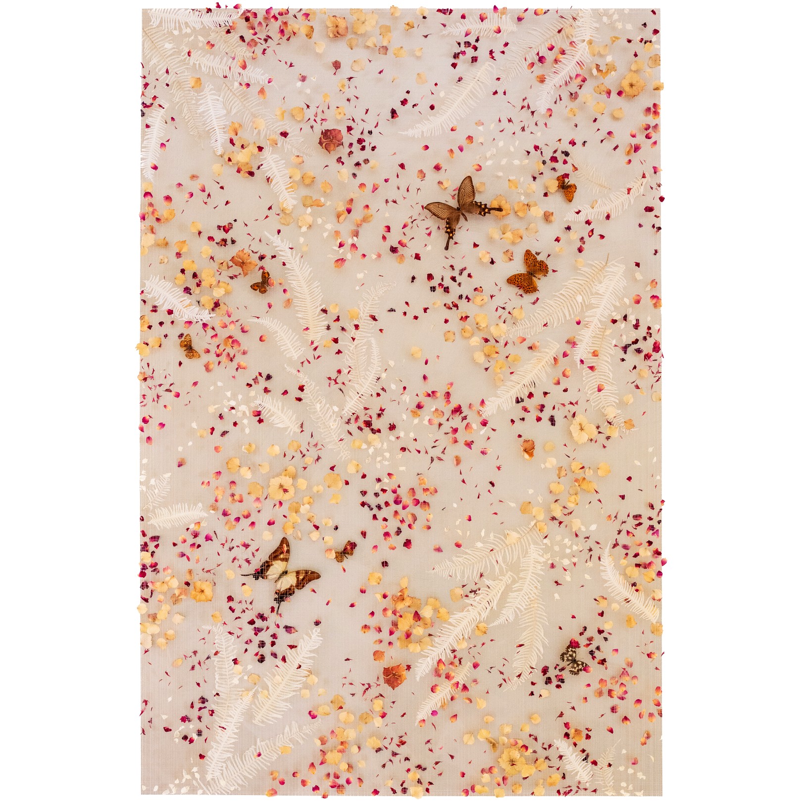 LOVER’S FLURRY - ANNA MASTERS - Galeries Bartoux
