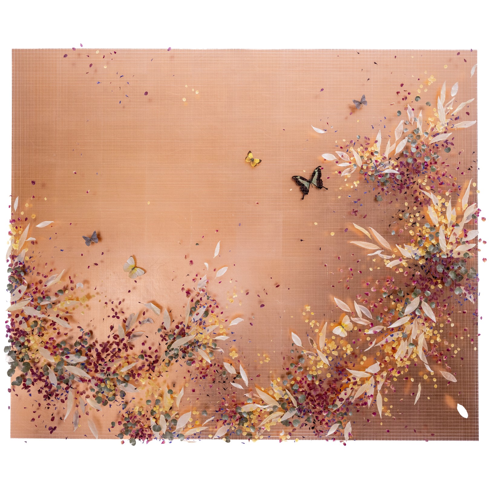 NANTOSUELTA - ANNA MASTERS - Galeries Bartoux