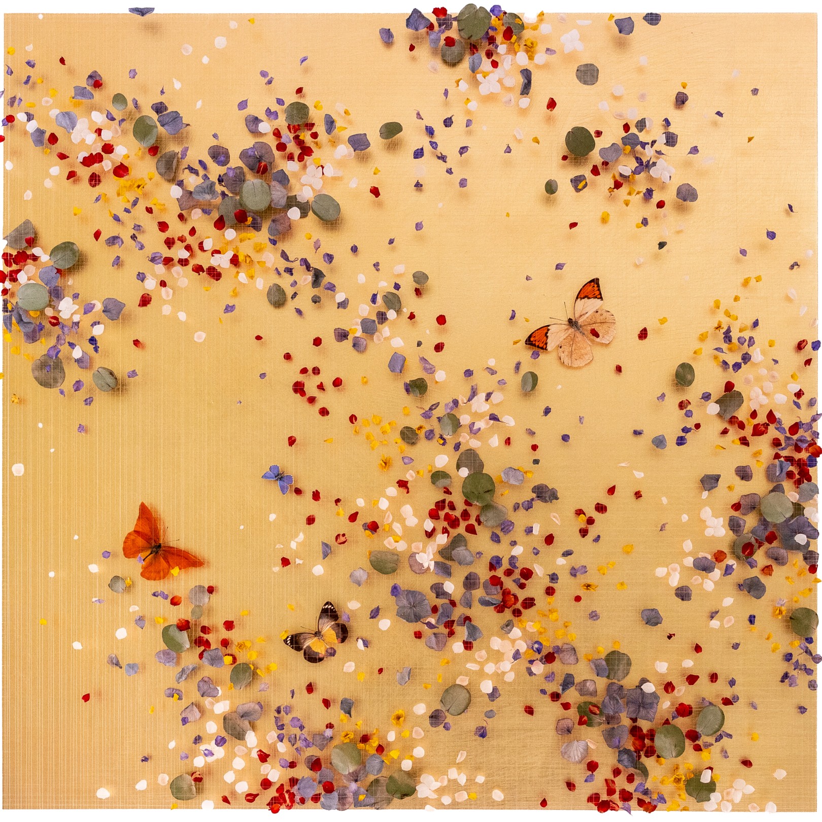 SUMMER HAZE - ANNA MASTERS - Galeries Bartoux
