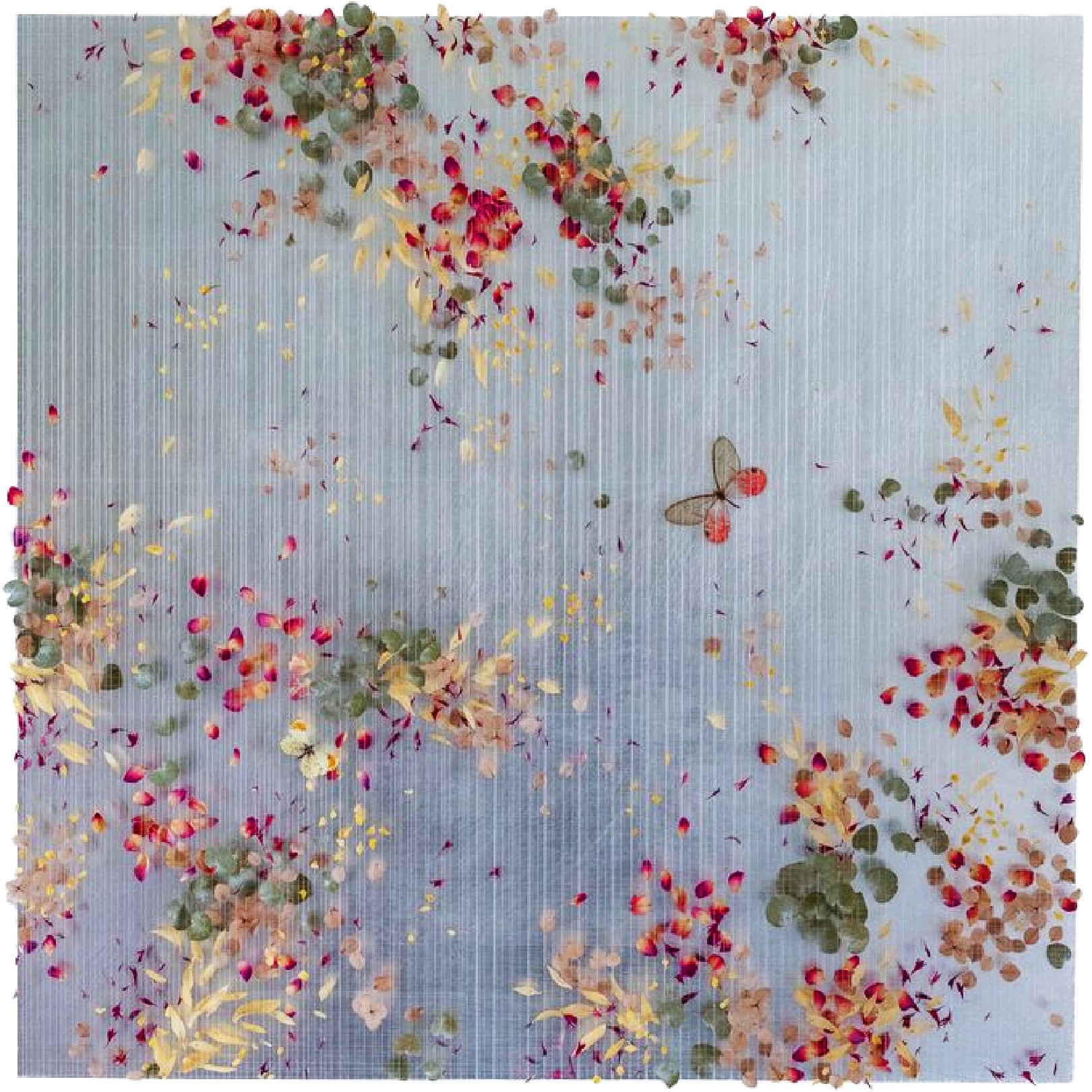 ASTRA - ANNA MASTERS - Galeries Bartoux