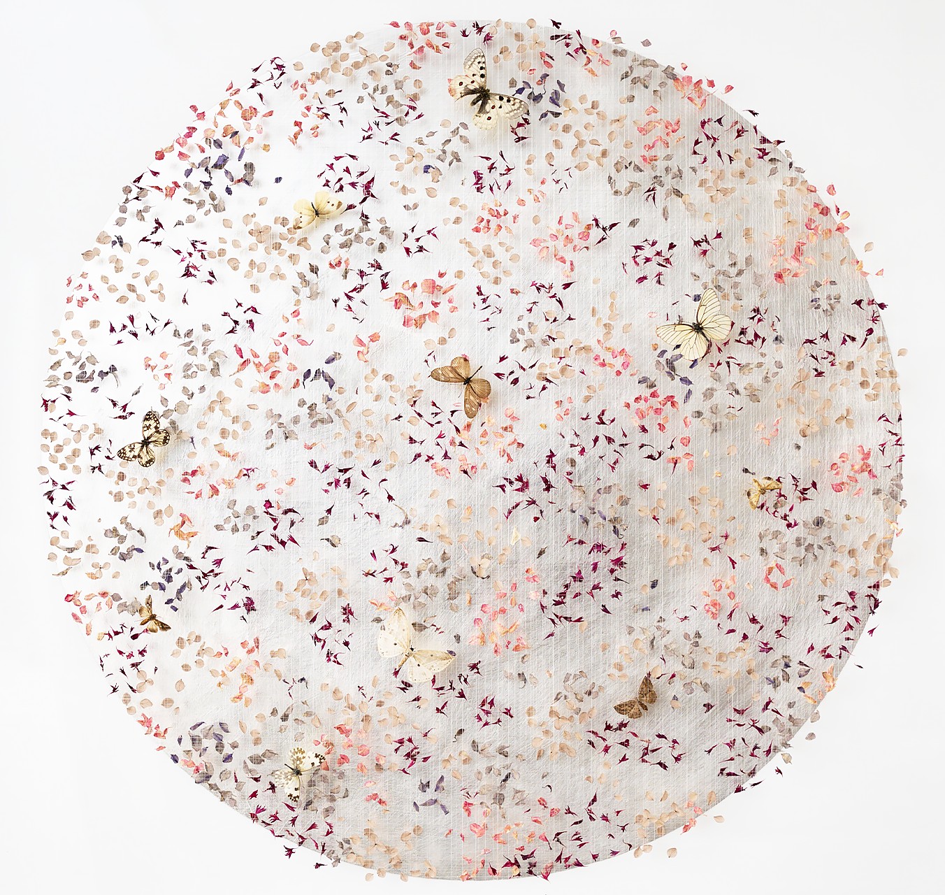 Amongst The Quiet Things - ANNA MASTERS - Galeries Bartoux