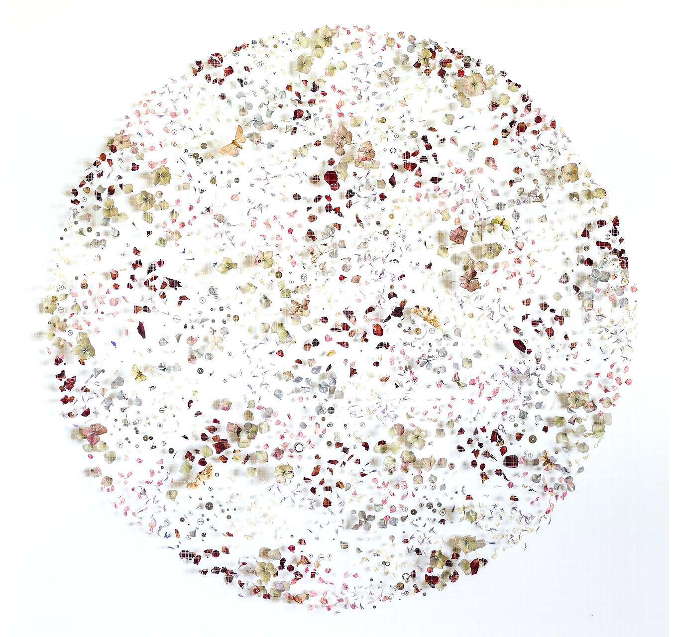 Serendipity - ANNA MASTERS - Galeries Bartoux