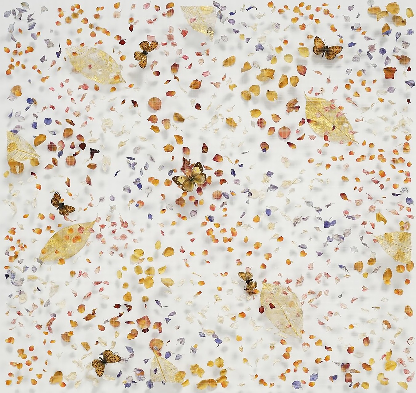 Autumn Fields - ANNA MASTERS - Galeries Bartoux