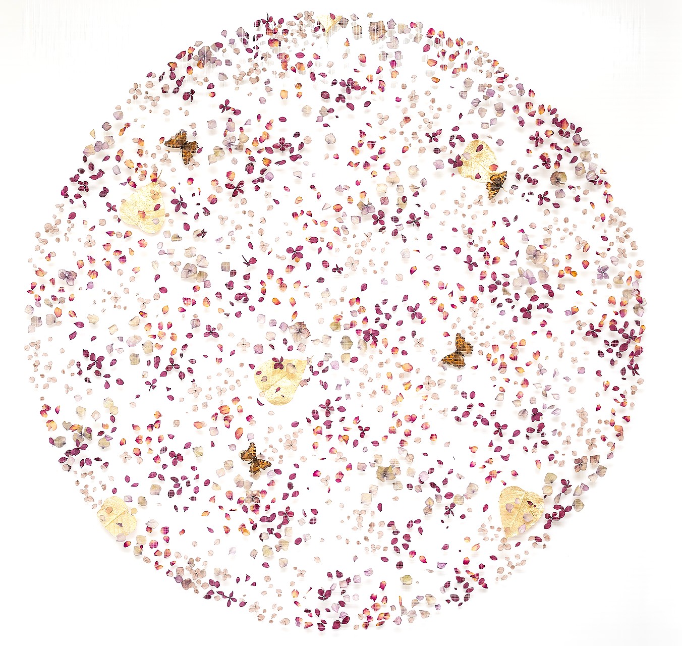 Blush - ANNA MASTERS - Galeries Bartoux
