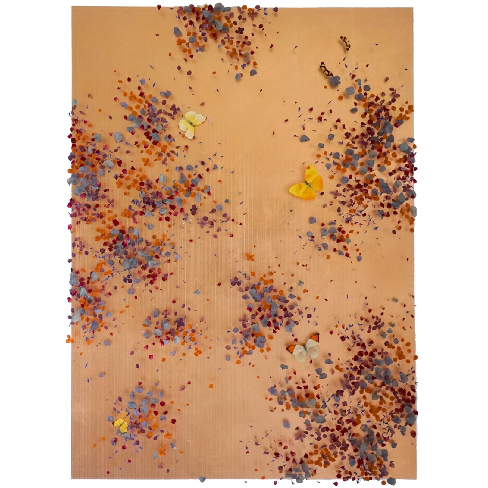 COPPER SUNRISE - ANNA MASTERS COPPER SUNRISE - ANNA MASTERS - Galeries Bartoux