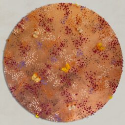 ANNA MASTERS - Galeries Bartoux