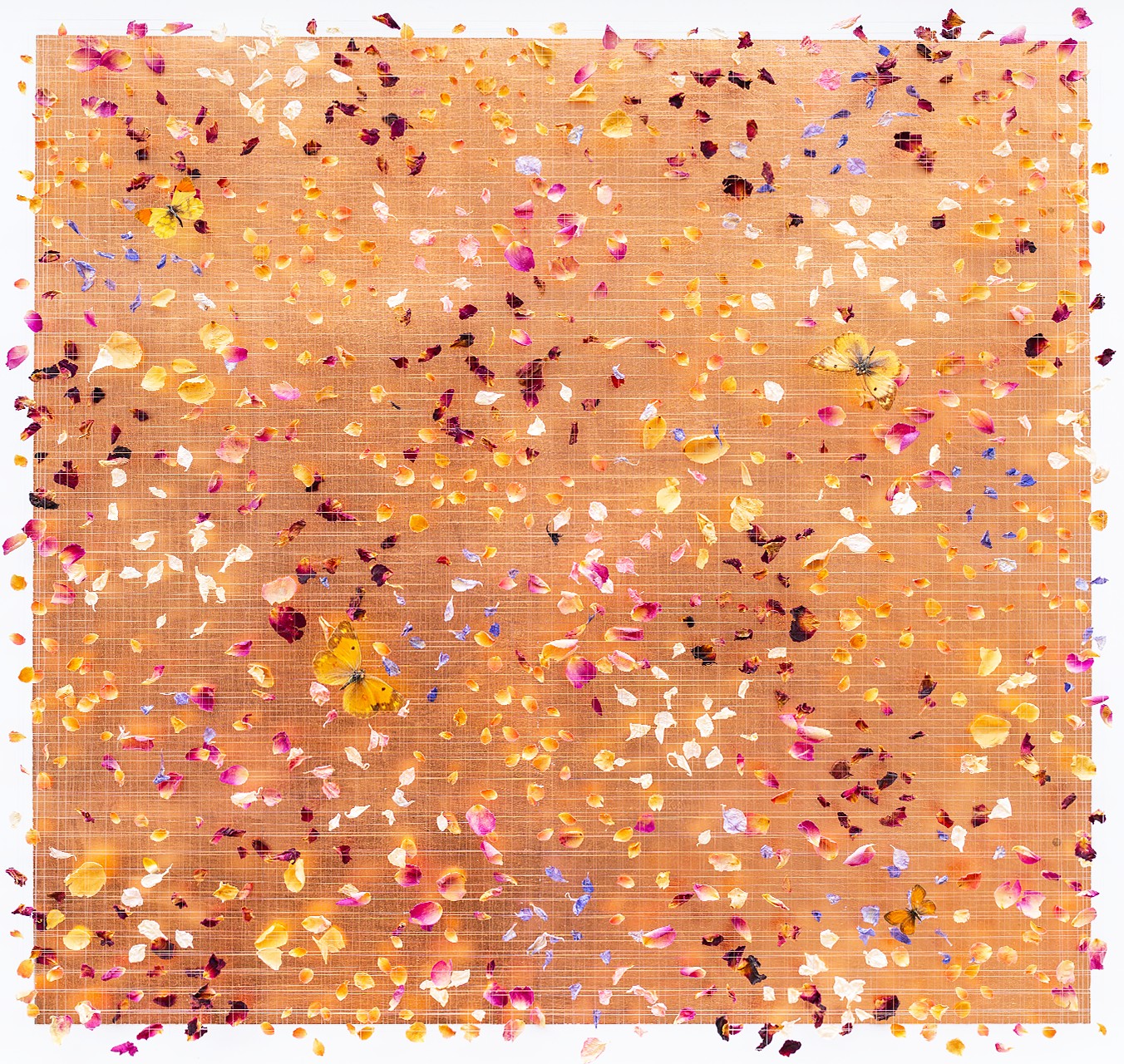 Copper Sunset - ANNA MASTERS - Galeries Bartoux