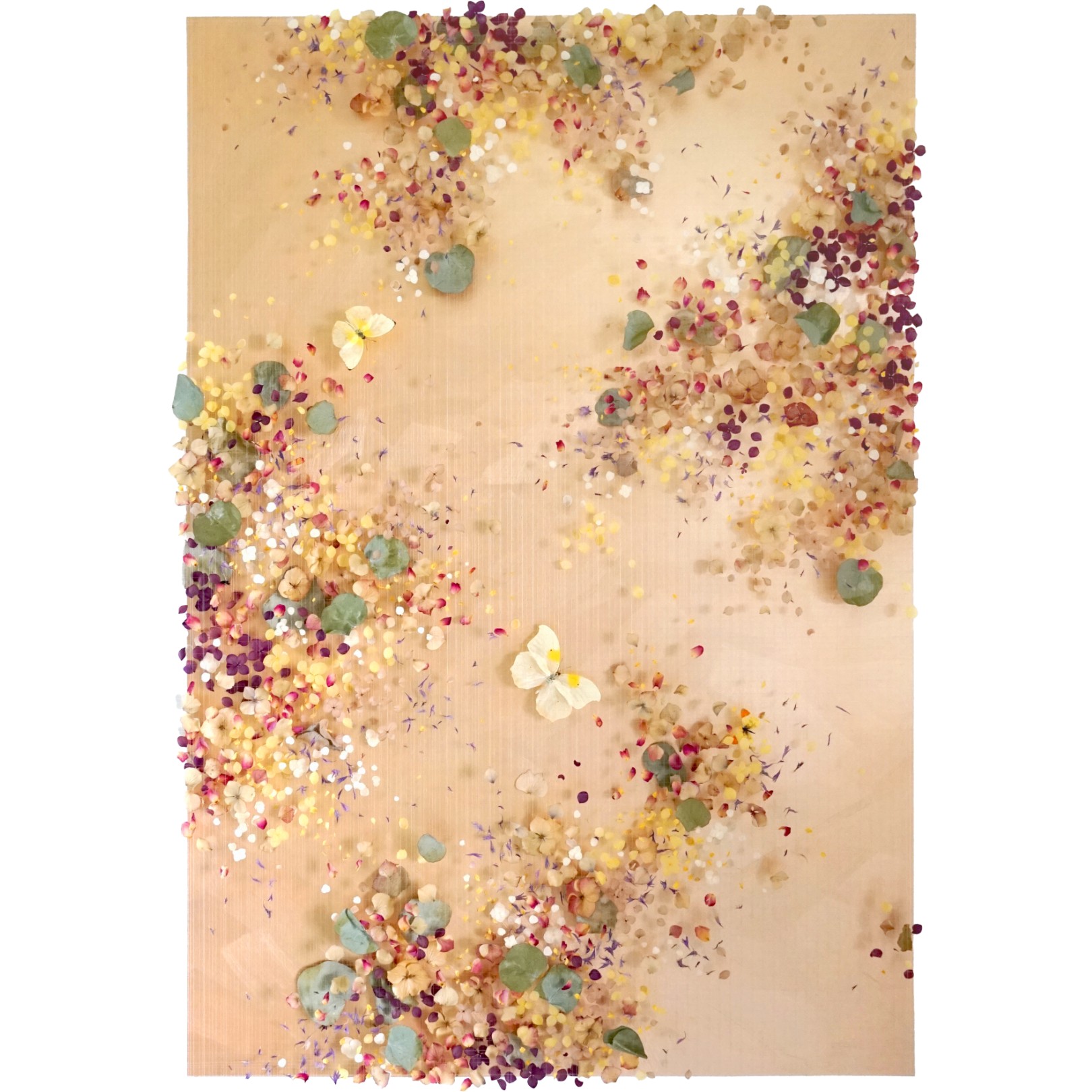 DISTANT SUN - ANNA MASTERS DISTANT SUN - ANNA MASTERS - Galeries Bartoux