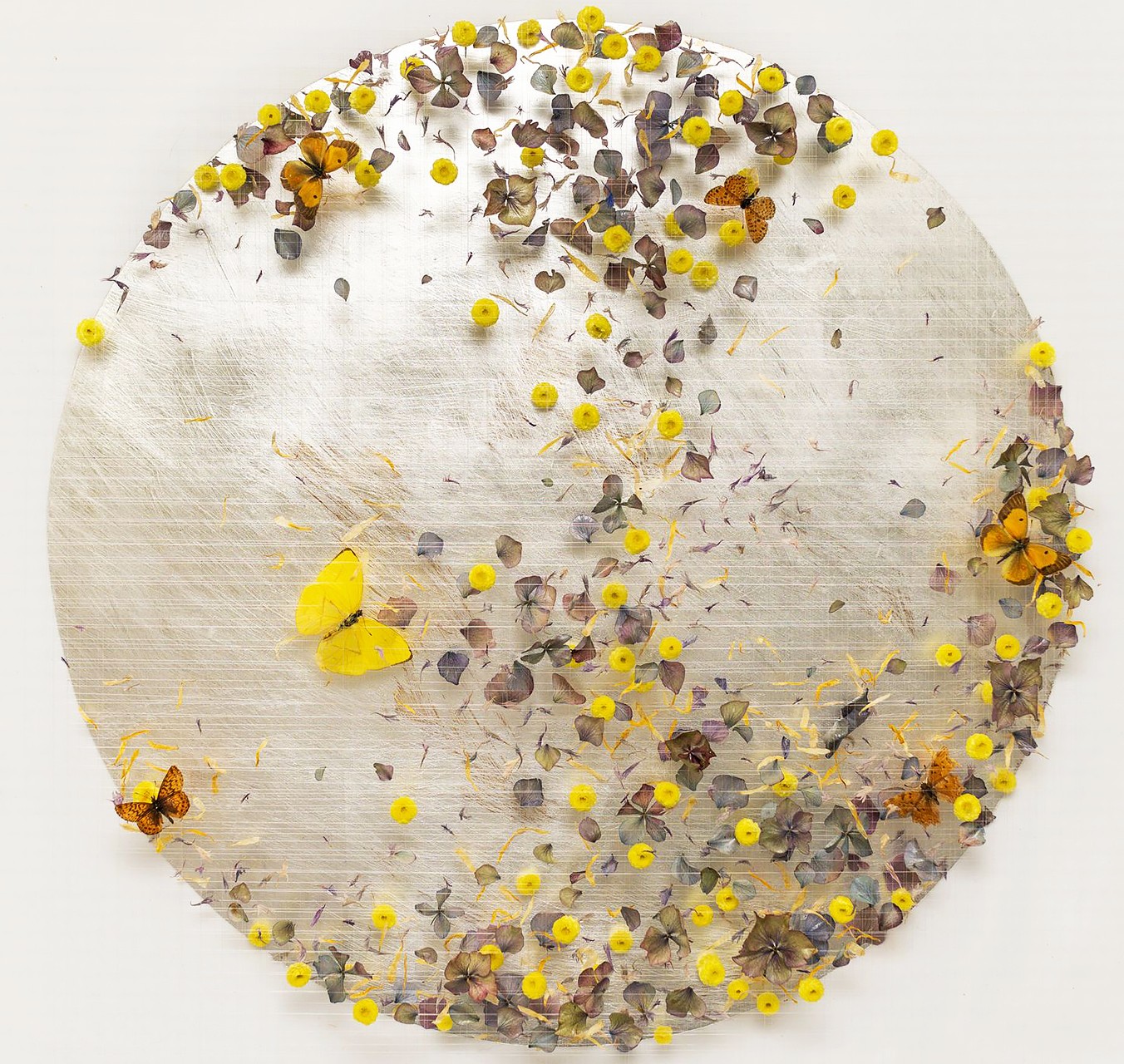Echoes of Summer - ANNA MASTERS - Galeries Bartoux