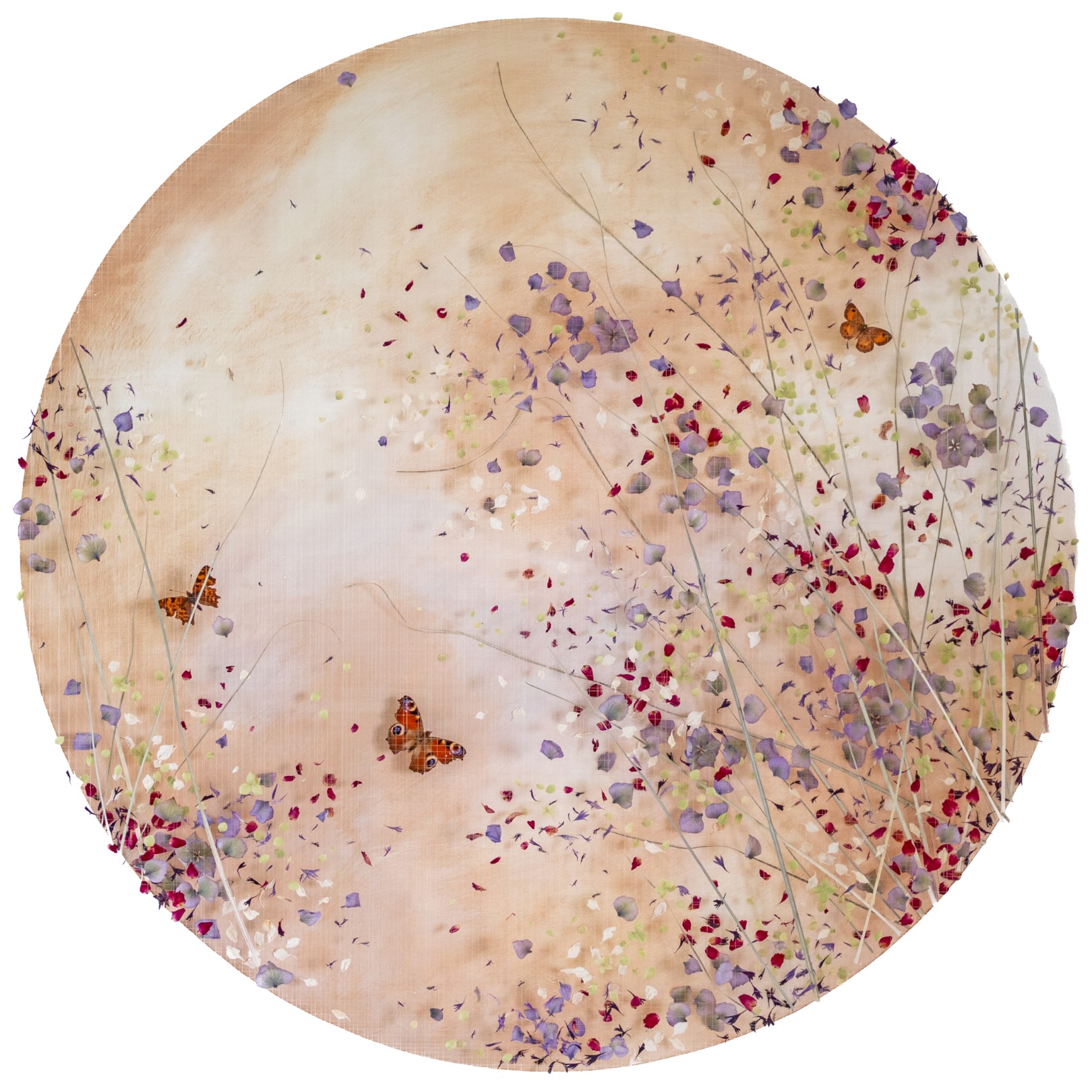 HARVEST MOON - ANNA MASTERS - Galeries Bartoux