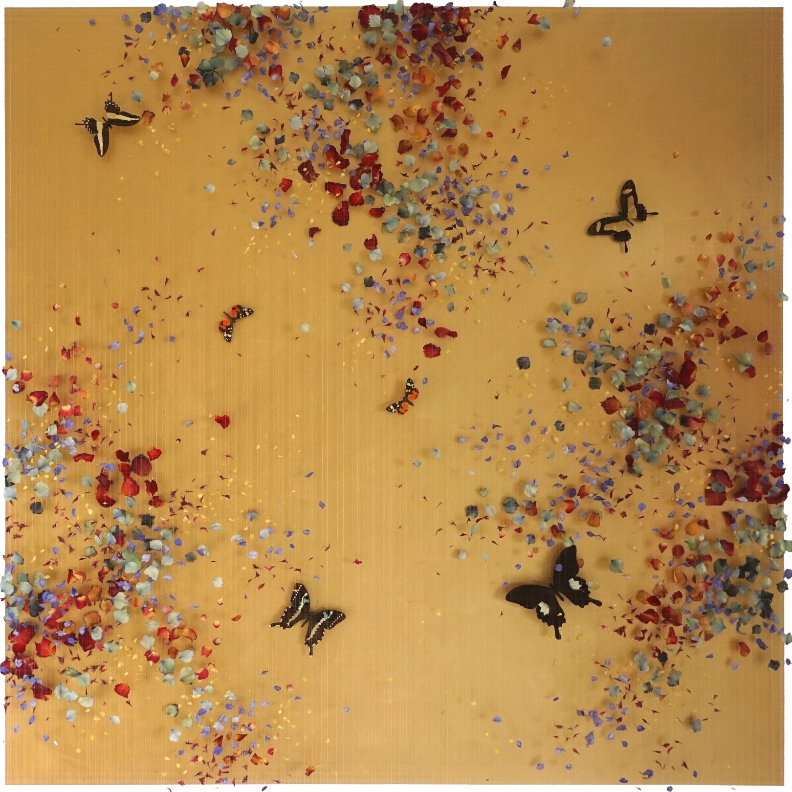 KALEIDOSCOPE - ANNA MASTERS KALEIDOSCOPE - ANNA MASTERS - Galeries Bartoux