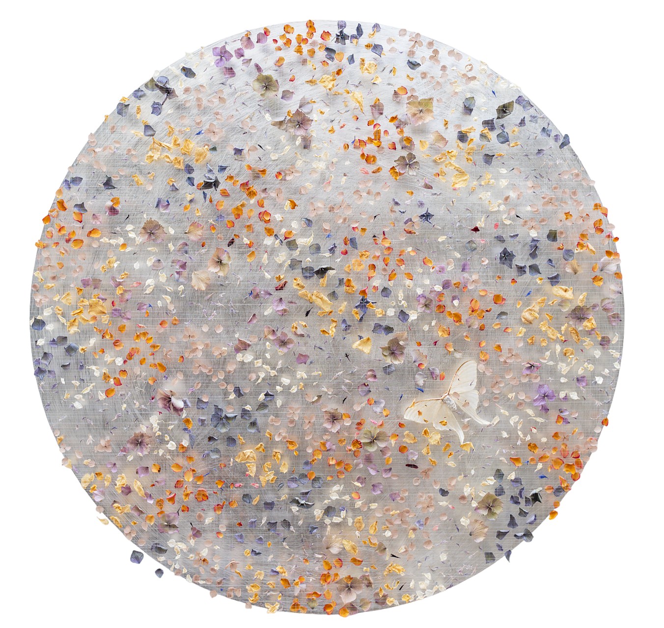 Lunar Frost - ANNA MASTERS - Galeries Bartoux