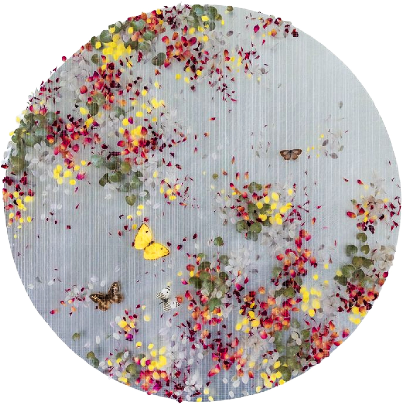 NOTES OF SPRING - ANNA MASTERS - Galeries Bartoux