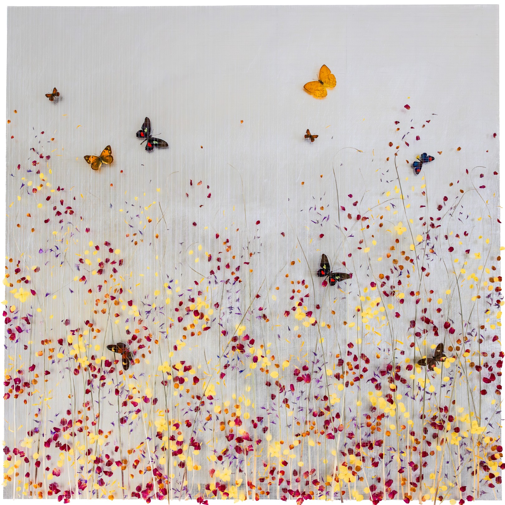 PAINT THE MEADOW WITH DELIGHT - ANNA MASTERS - Galeries Bartoux