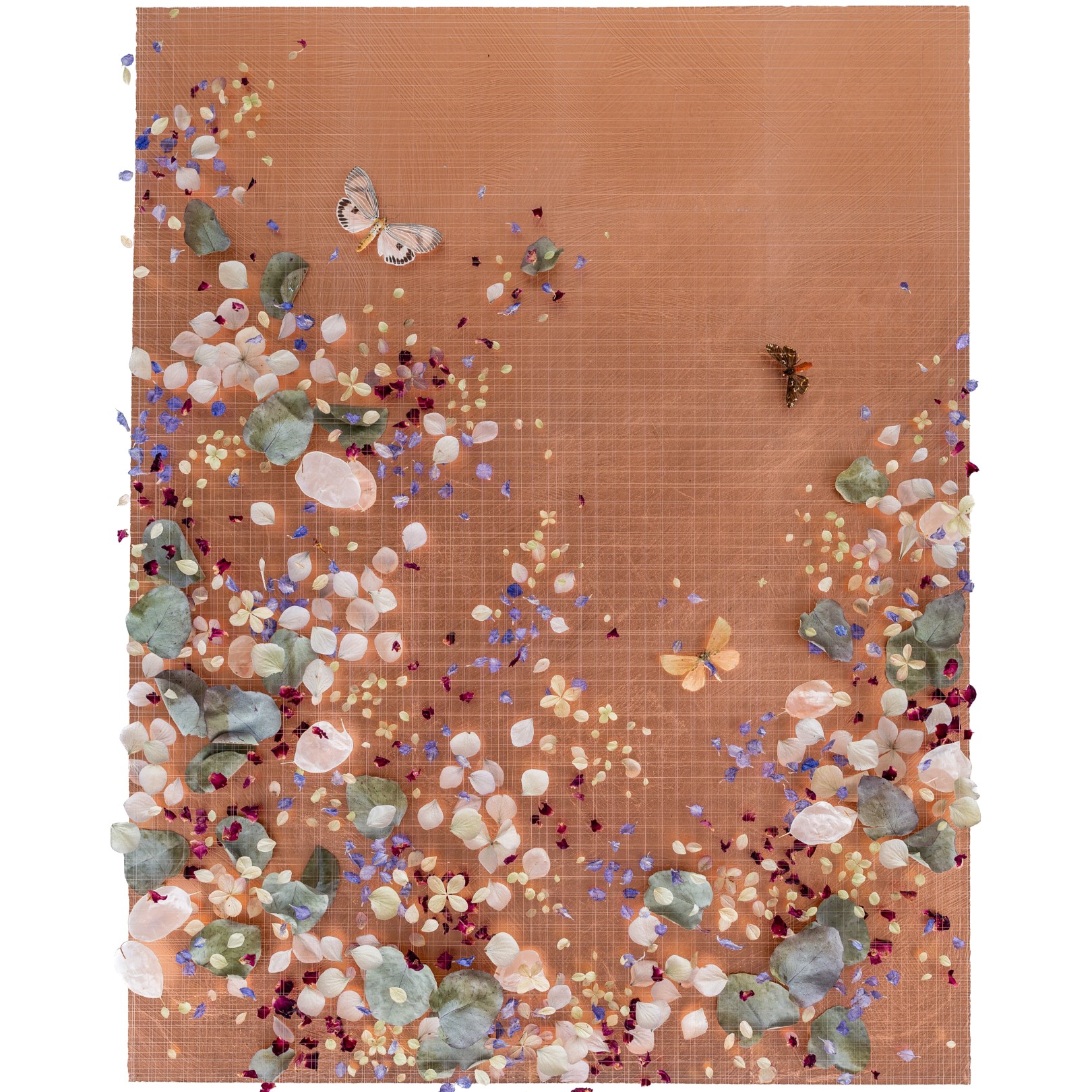 PEACH MELBA - ANNA MASTERS - Galeries Bartoux