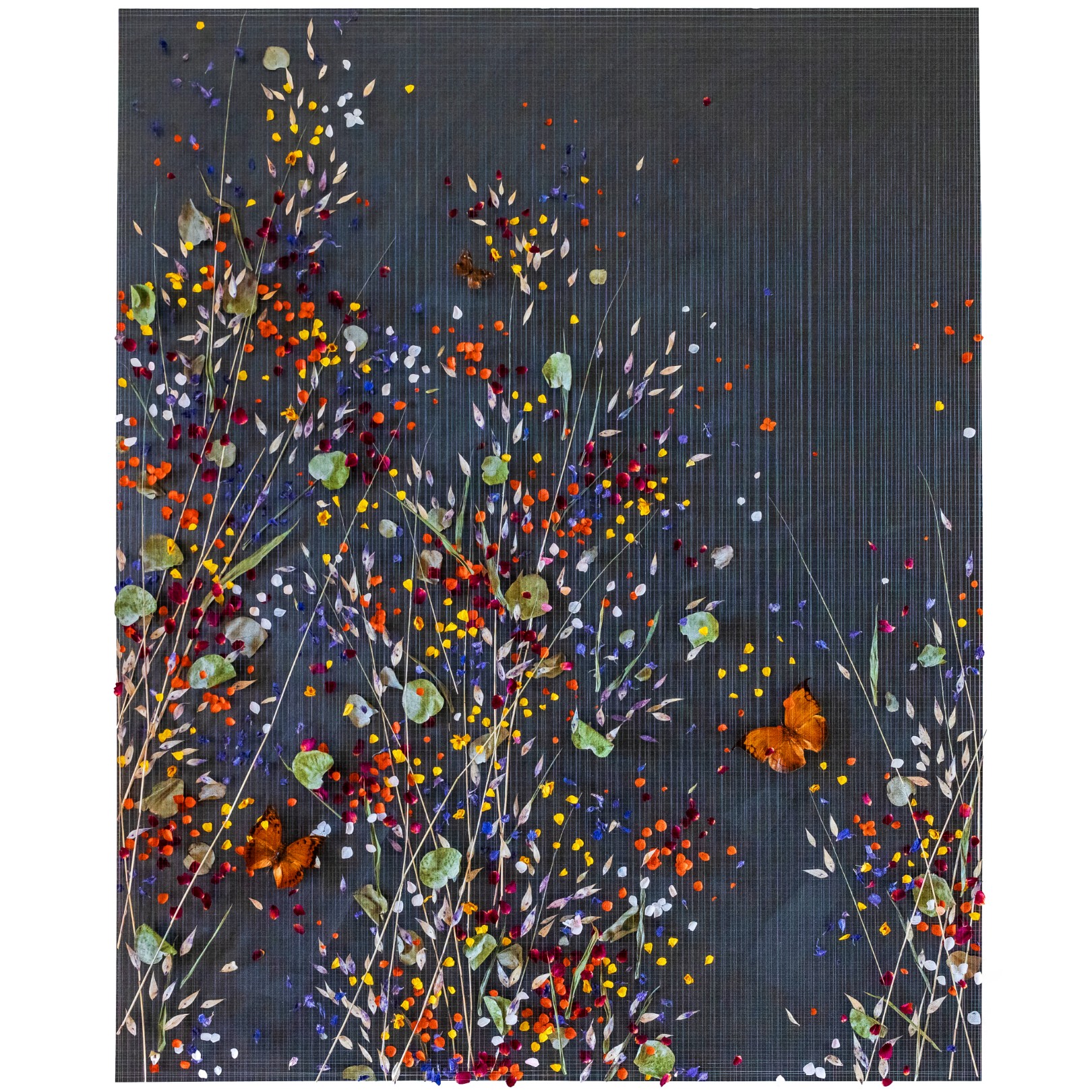 SEASON OF MISTS - ANNA MASTERS - Galeries Bartoux