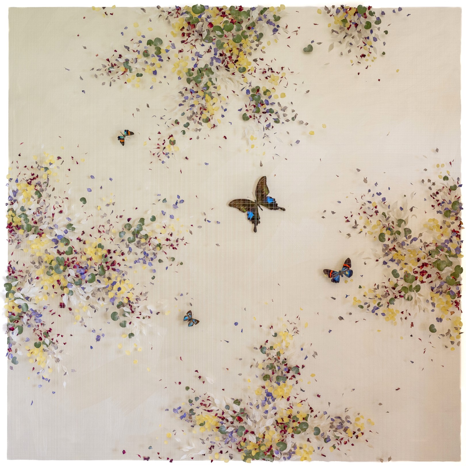 SONGS OF SUNSHINE - ANNA MASTERS - Galeries Bartoux