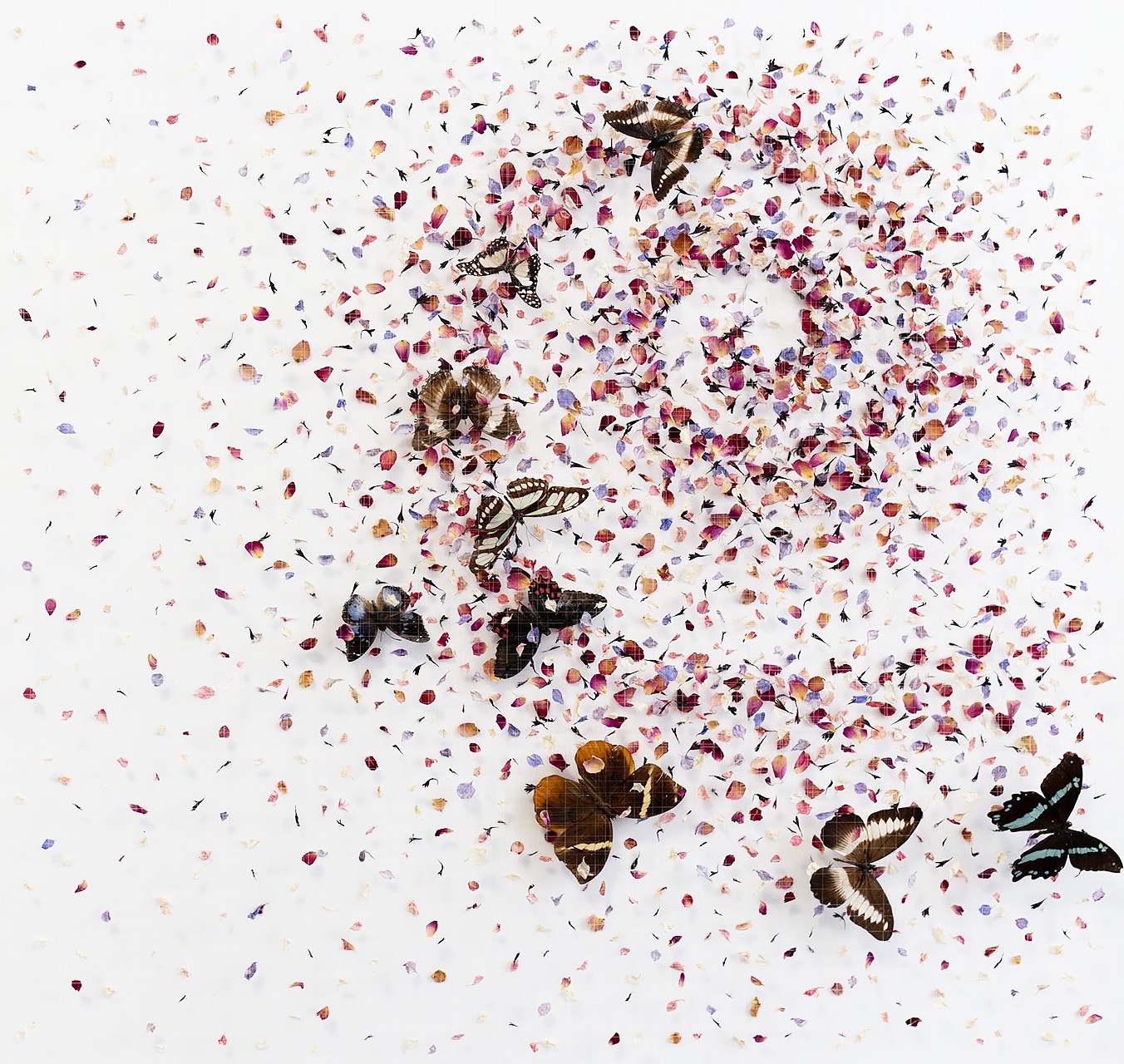 Soul Whisper - ANNA MASTERS - Galeries Bartoux