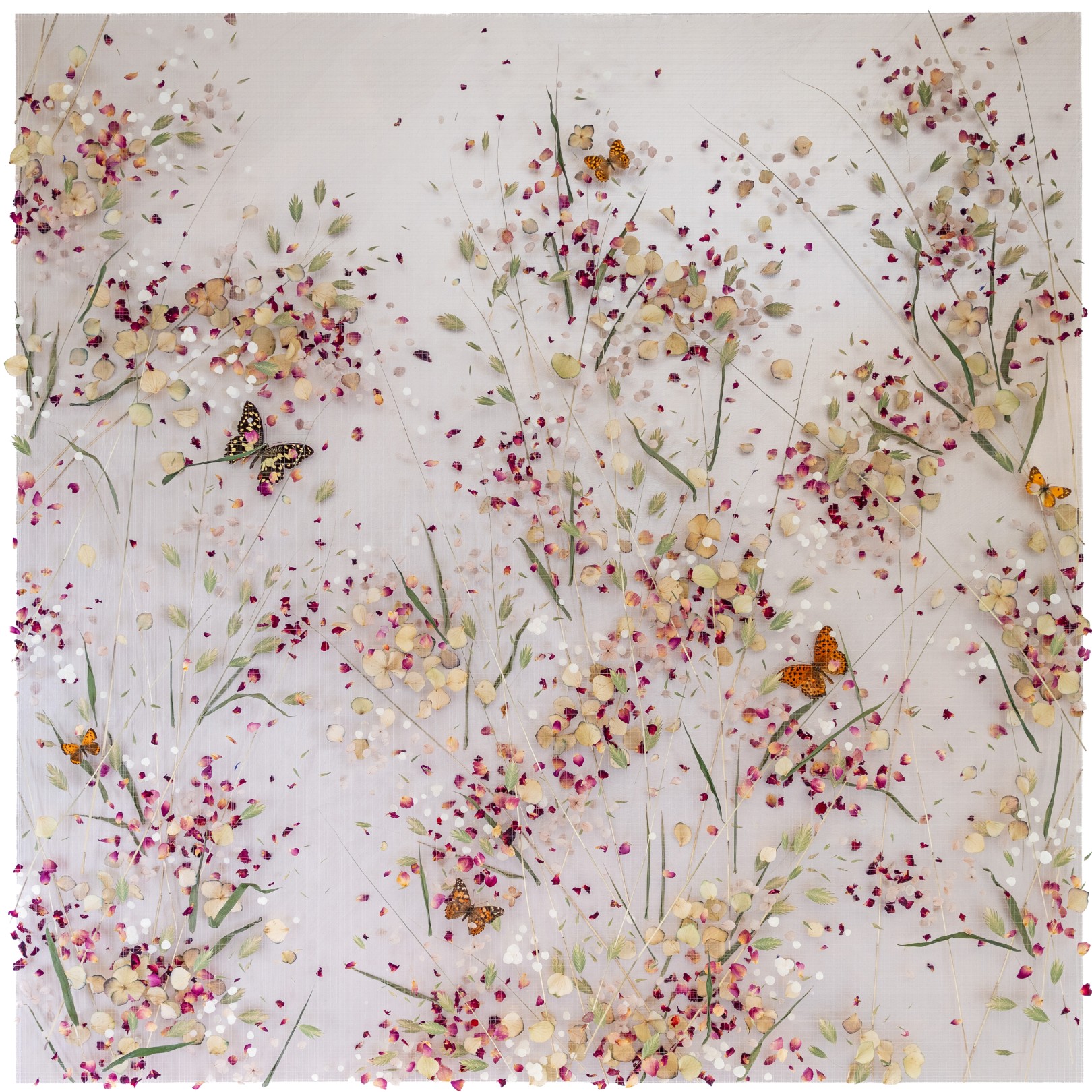 TEFENET - ANNA MASTERS - Galeries Bartoux