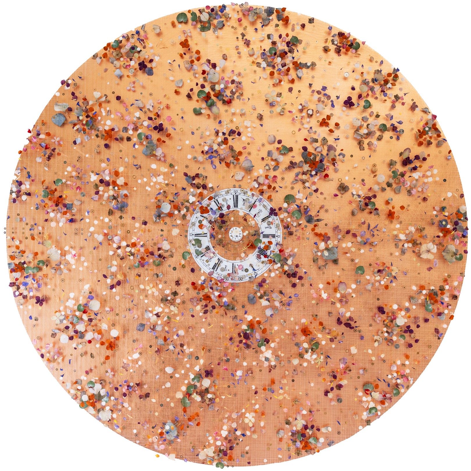 VERDANDI’S TAPESTRY - ANNA MASTERS - Galeries Bartoux
