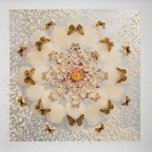 Fritilary Kaleidoscope - MASTERS ANNA - Galeries Bartoux