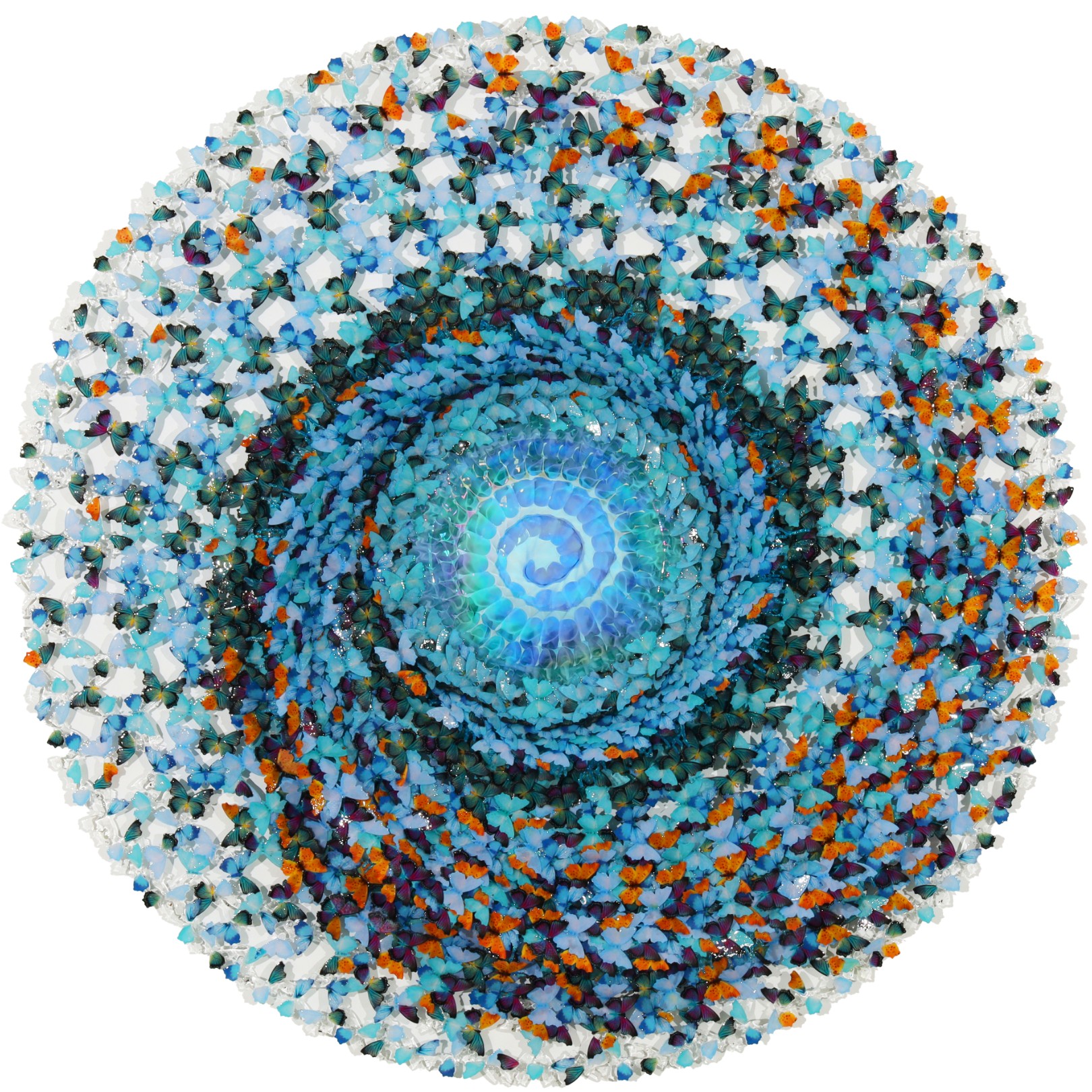 DREAMCATCHER ELISIR - ANNALÙ - Galeries Bartoux