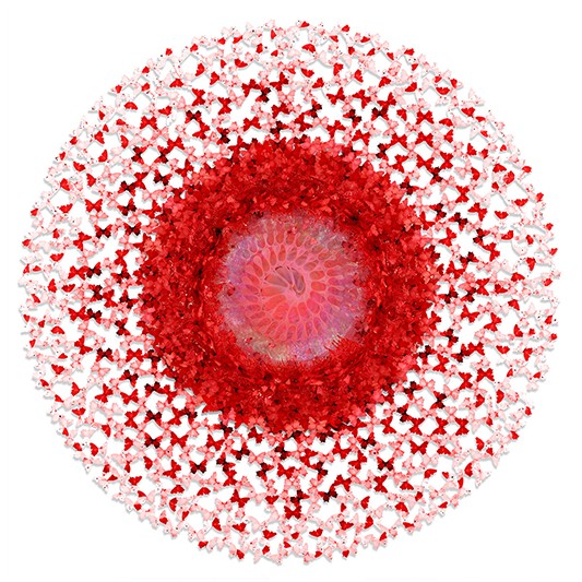 LENTICULAR RED - ANNALÙ - Galeries Bartoux