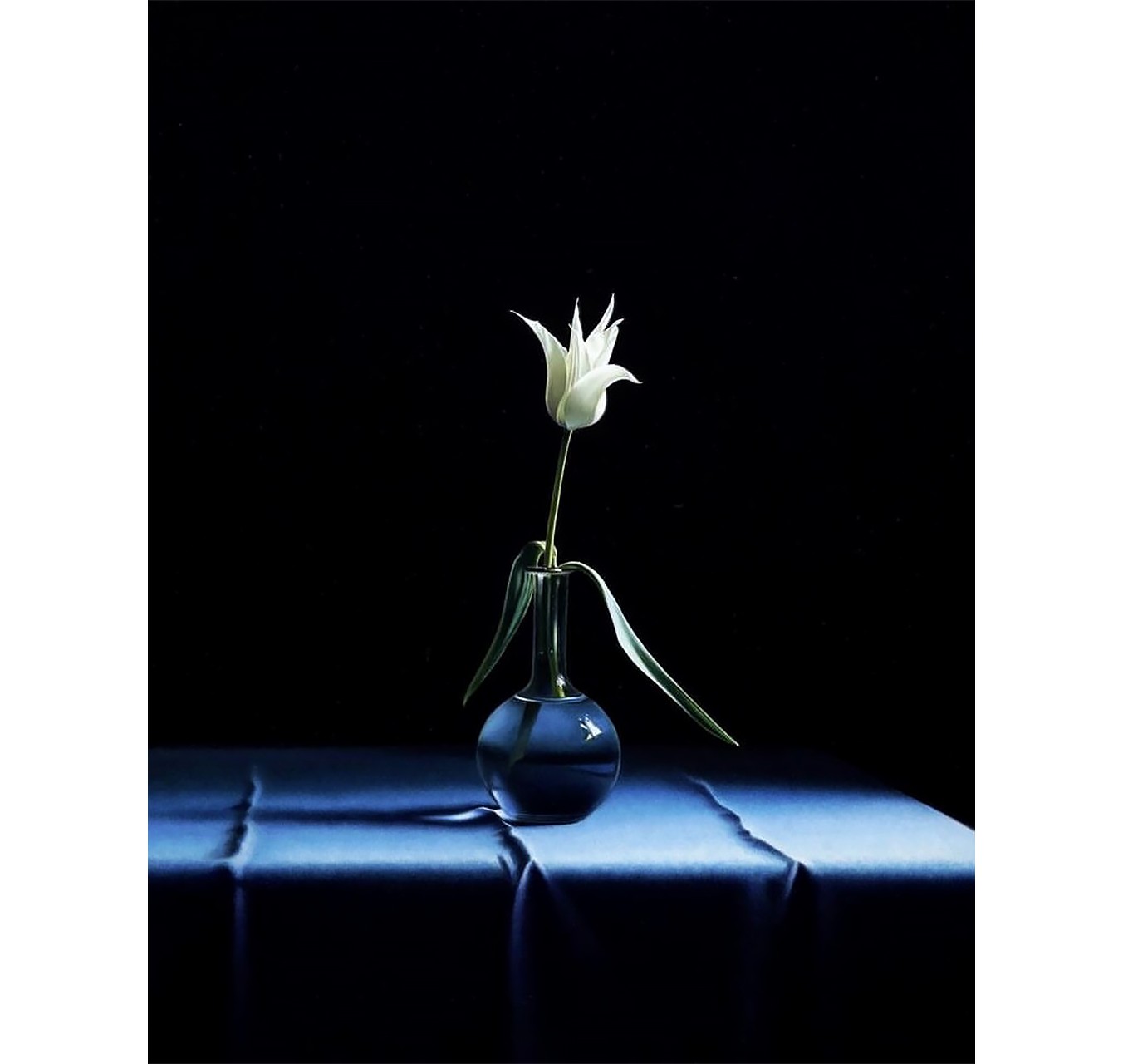 LA TULIPE - PIERRE-YVES RUSSO - Galeries Bartoux