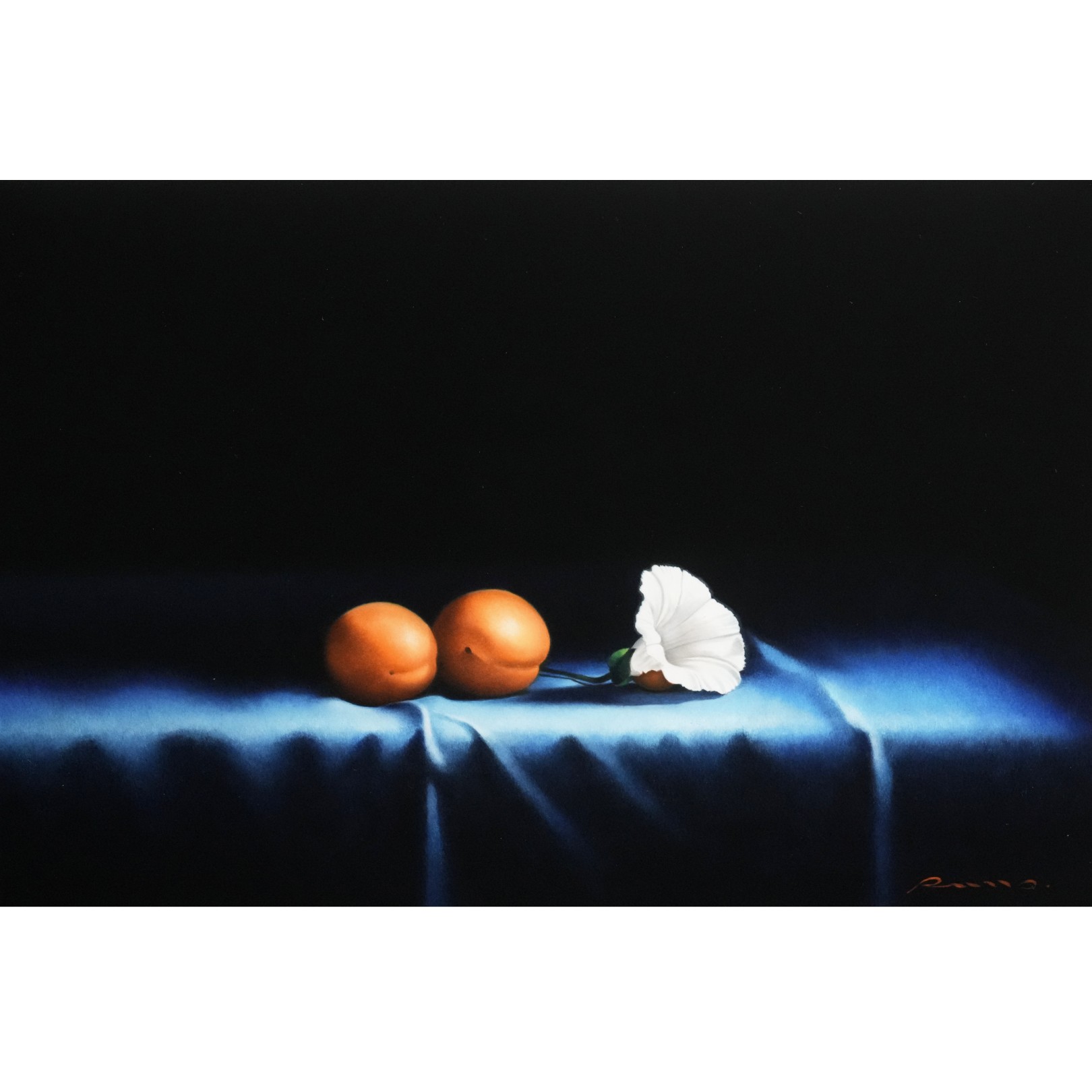 UNE FLEUR SIMPLE - PIERRE-YVES RUSSO - Galeries Bartoux