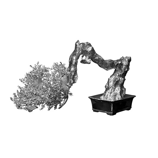 Bonsai - PHILIPPE PASQUA - Galeries Bartoux