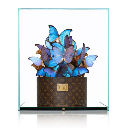 Roman Feral's Artwork Combines Real Butterflies With Designer Goods – Robb  Report