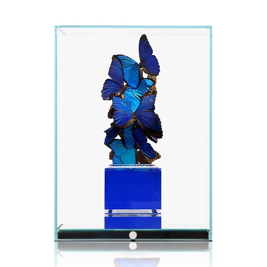 MINI KLEIN AZUR - FERAL ROMAN - Galeries Bartoux