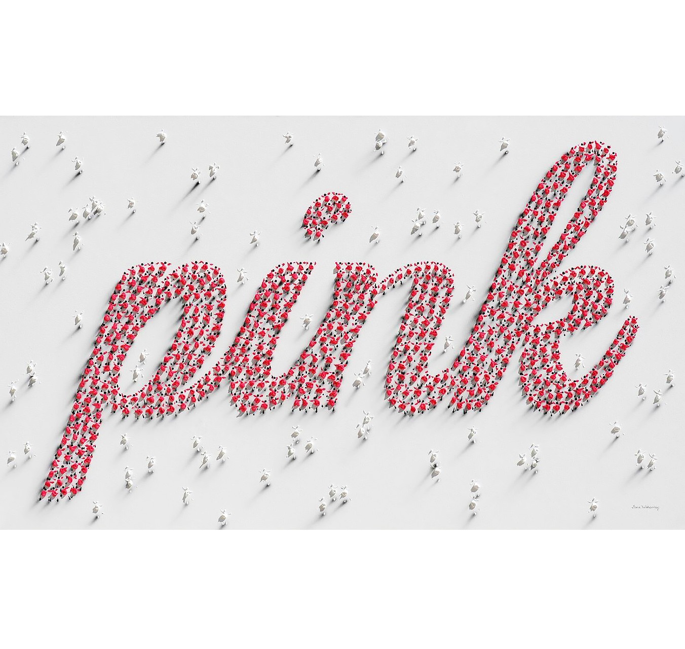 PINK #4201 - JANE WATEROUS - Galeries Bartoux