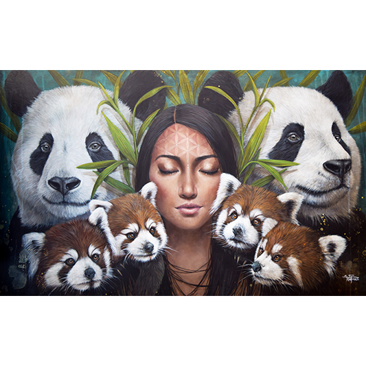 Les pandas - SOPHIE WILKINS - Galeries Bartoux