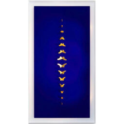Metamorphosis Blue II - DEJONG SAMUEL - Galeries Bartoux