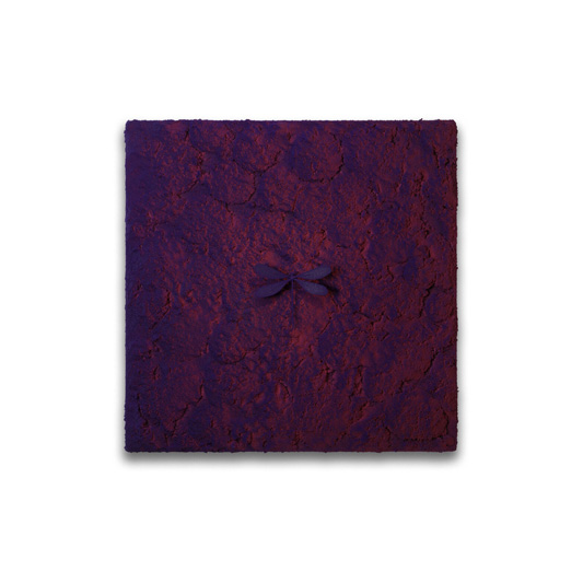 Vanish - SAMUEL DEJONG - Galeries Bartoux
