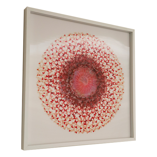 Lenticular Rouge - ANNALÙ - Galeries Bartoux