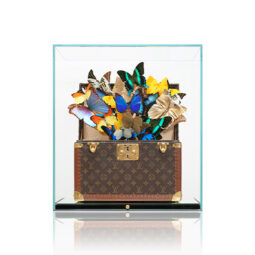 Louis Vuitton Colorful - FERAL ROMAN - Galeries Bartoux