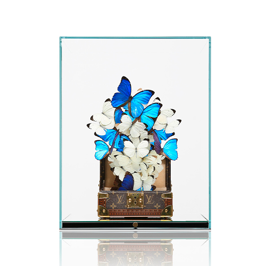 Louis Vuitton Tresor White Blue - FERAL ROMAN - Galeries Bartoux