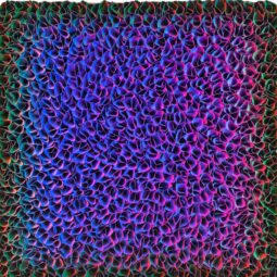 ZHUANG HONG-YI - Galeries Bartoux