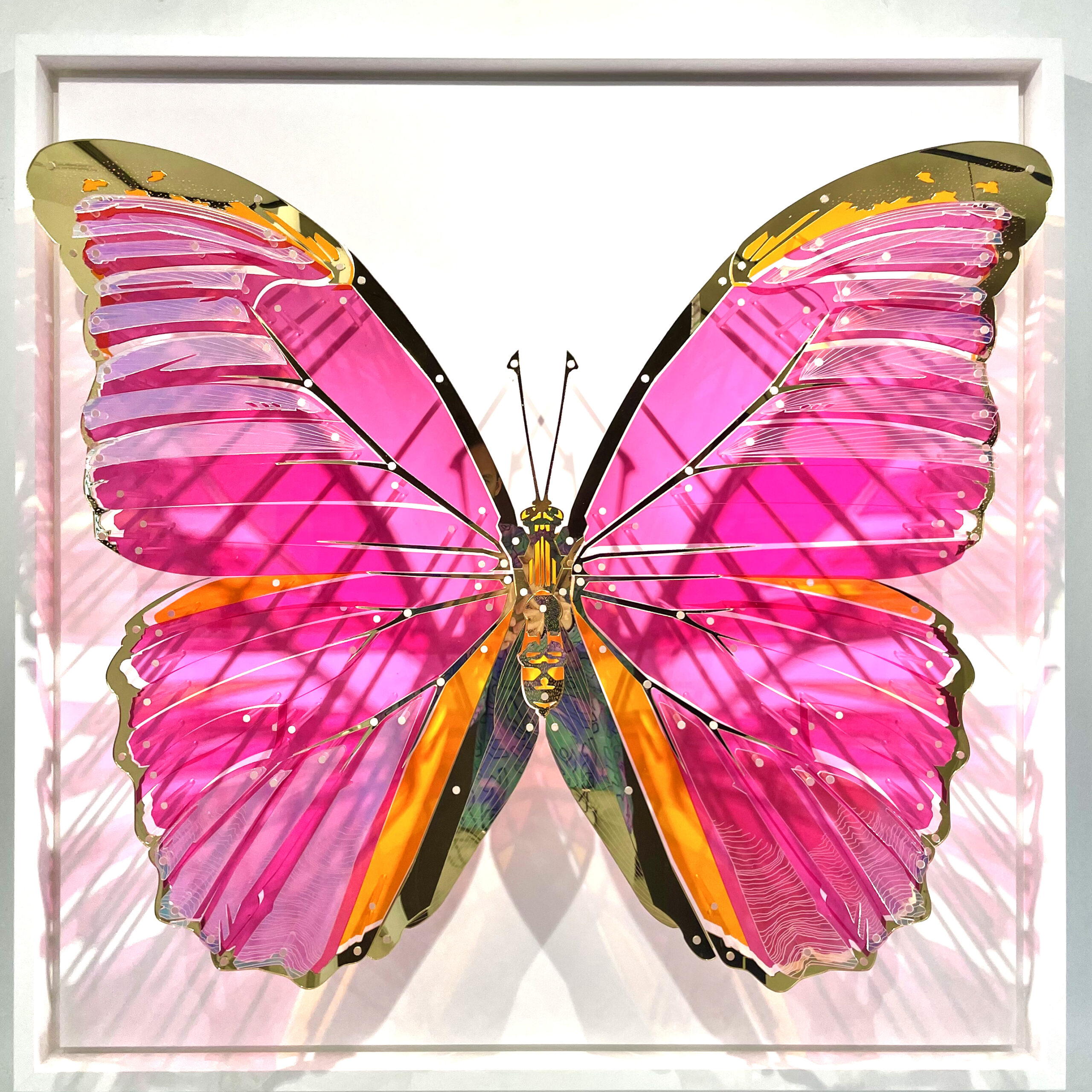 Dryocampa - PIERRE BRAULT - Galeries Bartoux