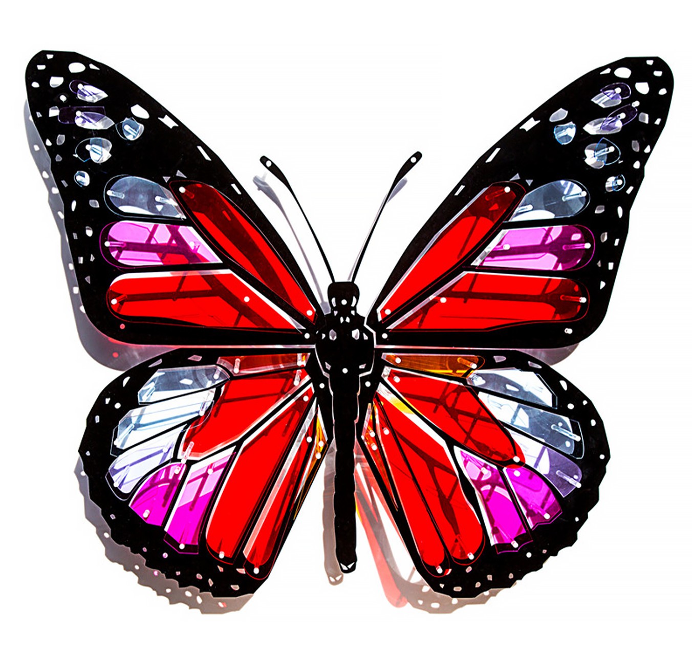 Papillon - PIERRE BRAULT - Galeries Bartoux