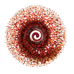 Dreamcatcher in the red spiral - ANNALÙ - Galeries Bartoux