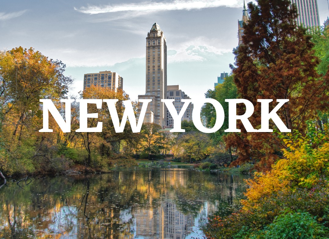 CDI – CONSEILLER EN VENTE D’ART – NEW YORK (H/F) - Galeries Bartoux