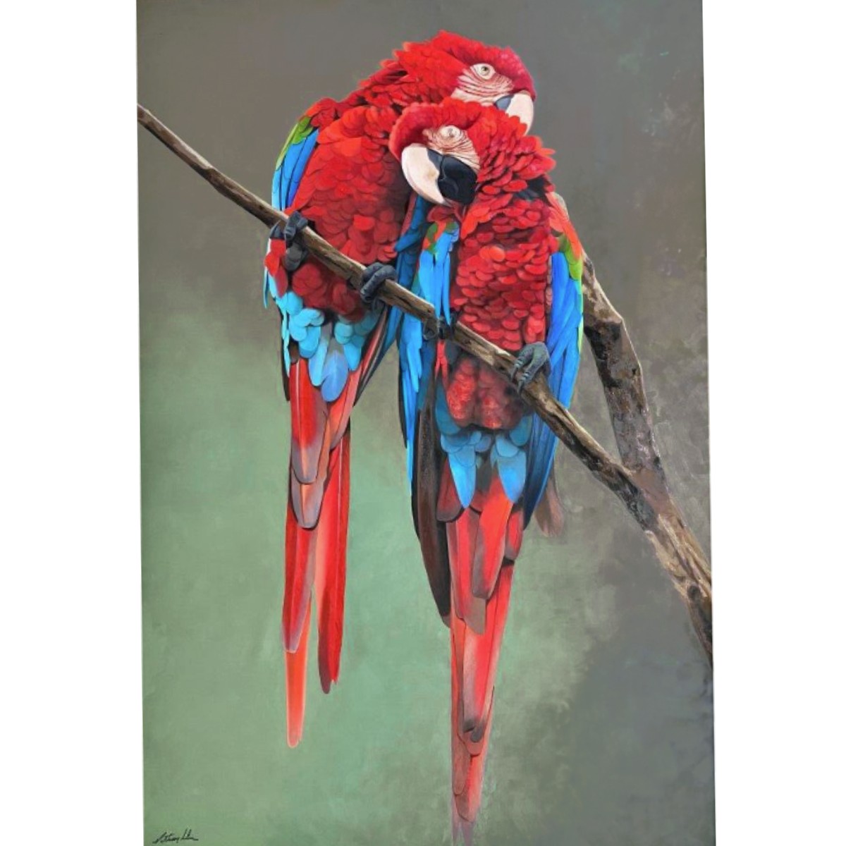 AFFECTION OF THE MACAW - PETTERSON SILVA - Galeries Bartoux